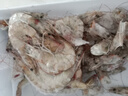 鲜京采 50/60厄瓜多尔白虾 去冰净重3.3斤 82-99只/盒 马年礼盒年货送礼 实拍图
