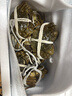 【活蟹】阳澄联合鲜活大闸蟹现货公3.5-3.8两 母2.5-2.8两 5对螃蟹年货礼盒源头直发 实拍图