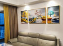 诗六艺家饰客厅装饰画北欧现代简约沙发背景墙挂画三联画大气轻奢壁画晶瓷画 家和富贵A（铝合金外框） 晶瓷画左右50*70+中间100*70亮面 实拍图