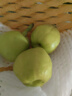 京鲜生 新疆库尔勒香梨6粒 二级果 单果80-100g 生鲜水果 实拍图