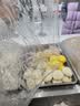 食品盖透明防尘罩长方形面包罩托盘盖菜盖摆摊塑料盖熟食盖展示罩 长63宽43高17 实拍图