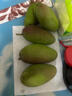 鲜以优广西生吃酸芒果特产新鲜水果四季酸脆象牙青生芒果腌制酸嘢用芒果 1斤+2包调料+工具 实拍图
