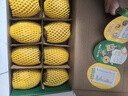 佳沛（zespri）新西兰阳光金奇异果 8个装 特大果单果重约122-146g 水果猕猴桃 实拍图