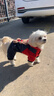 宠物圈（PETCIRCLE）冬季狗狗衣服泰迪衣服秋冬装小狗宠物贵宾四脚衣服萌宠服装狗衣服 实拍图