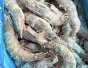 鲜京采 厄瓜多尔白虾 净重3斤/盒 特大号20-30规格   30-45只/盒 实拍图