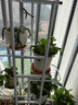蜗家花架客厅落地式多层铁艺置物架室内阳台绿萝多肉植物摆放花盆架白 实拍图