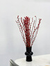 九月生银柳真花30支年宵花干花礼盒新年装饰摆件鲜切室内花卉60cm不含瓶 实拍图