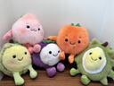 威尔通（WELTSTON）解压毛绒玩具玩偶摆件靠垫生日新年礼物礼品女生 水果布娃娃榴莲 实拍图