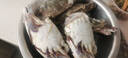 【冷冻】拾鲜生 梭子蟹活冷冻特大螃蟹海蟹海鲜5斤 7-9两/只 25年新蟹 源头直发包邮 实拍图