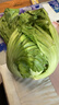 柏馋【现货】新鲜芥菜 大叶青菜 大苦菜可做酸菜 当季蔬菜 5斤净重新鲜采摘 实拍图