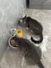憨憨乐园猫碗双碗猫咪喝水碗猫食盆斜防打翻饭盆狗碗宠物用品 实拍图