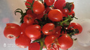 新鲜圣女果小西红柿小番茄新鲜蔬菜生鲜减肥减脂早餐沙拉现摘现发 畅享装 3斤 带箱 实拍图