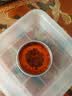 沪上花匠儿童种植小盆栽幼儿园观察植物种子凤仙花种籽子小学生向日葵种孑 【四季草莓】高透明观察窗套装+20页观察记录本 难 实拍图