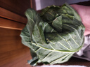 京鲜生山东新鲜绿甘蓝净重3斤单果200g+卷心菜甘蓝新鲜蔬菜 源头直发 实拍图