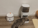霍曼（Homerun）宠物智能三代饮水机Pro 猫咪饮水机无线杀菌水泵自动循环流动水 实拍图