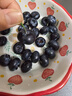 云南8分甜高山蓝莓125g(18mm) 实拍图