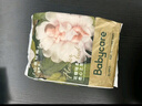 babycare随行呵护组合 金山茶拉拉裤XL码3片+湿巾36抽+洗衣液500ml 实拍图