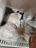 CP正大食品白羽鸡全腿2斤 生鲜冷冻早餐  鸡大腿 烤鸡腿炸鸡腿 实拍图