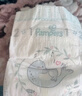 帮宝适散热王者一级帮拉拉裤新生儿婴儿尿不湿尿片超薄透气L72 实拍图