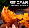 京鲜生山东正宗烟薯25号蜜薯红薯中果净重9斤单果150g+糖心地瓜源头直发 实拍图