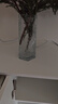吕姆克花瓶玻璃现代简约田园家居花瓶摆件餐厅客厅桌面装饰冷纹花器5258 实拍图