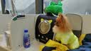 BNBNO冬季保暖猫包双肩外出便携猫咪狗冬天书包大容量高颜值轻便款宠物 实拍图