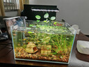 YEE鱼缸金晶超白金鱼裸缸8060家用客厅桌面小草缸龟缸玻璃生态溪流缸 30*17*20*5mm超白玻璃裸缸 实拍图