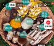【京东空运】云南新鲜菌菇组合煲汤打边炉菌火锅炖汤蘑菇多种菌菇 七彩鲜菌组合500g 实拍图