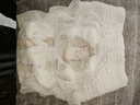 MOONY尤妮佳小羊驼拉拉裤XXXL22片(≥18kg)大宝加大号干爽大吸量 实拍图