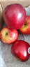 京鲜生Mr Apple新西兰皇后红玫瑰苹果12粒礼盒单果130-150g源头直发包邮 实拍图