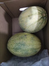 京鲜生 海南哈密瓜 西州蜜/西周蜜 2粒 5-7斤 单果2.5斤起 生鲜水果礼盒 实拍图