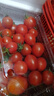 新鲜千禧圣女果小番茄现摘现发多汁水果适合孕妇食用 2斤 实拍图