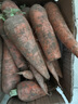 京喜加新鲜现挖现发胡萝卜农家自种蔬菜水果沙地红萝卜 带泥胡萝卜5斤 含箱 实拍图