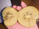 佳沛（zespri）意大利  阳光金奇异果巨大果22粒原箱 单果重约144-175g 猕猴桃 实拍图