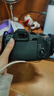 佳能（Canon）EOS RP 全画幅微单数码相机 24-105标准镜头套装 （约2620万像素/轻巧便携） 实拍图