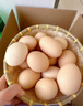 农家新鲜现捡土鸡蛋谷物饲养新鲜鸡蛋柴鸡蛋约40g/枚左右早餐买菜 20枚 实拍图