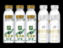 伊利金典鲜牛奶235ml*6+伊利牛奶235ml*4低温牛奶分享装 源头直发包邮 实拍图