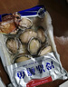江船长 冷冻鲍鱼 净重160g(10-15粒)袋装 火锅烧烤食材 海鲜生鲜  实拍图