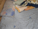 百丽丝水星家纺出品床上四件套纯棉100%全棉四件套床品被套床单套件1.5m床 实拍图