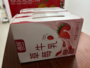 新希望遇鲜鲜果奶草莓牛奶255mL*4瓶清新美味 0添加香精 实拍图