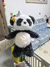 babycare熊猫安抚玩偶睡眠手偶阿贝贝婴儿宝宝睡觉毛绒玩具新生儿见面礼盒 实拍图