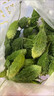 新鲜小苦瓜现摘可生吃播当季山苦瓜农家野生泰式苦瓜特色蔬菜鲜果 1斤 实拍图