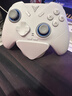 飞智冰原狼4多模版无线游戏手柄 类xbox 力调节摇杆双切扳机 switch电脑PC手机steam体感NS 丝之歌 实拍图