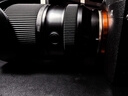腾龙（Tamron）A075S 25-200mm F/2.8-5.6 Di III VXD G2二代大光圈标准变焦微单镜头风光人像（索尼全幅E口） 实拍图