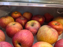京鲜生新疆阿克苏苹果 净重9斤单果75-80mm 生鲜水果 源头直发 实拍图