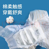 HONEYCARE好命家 狗狗纸尿裤公狗尿不湿安全裤 S适用体重5-15kg/12片12包装 实拍图