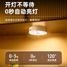 大头人（datouren）人体感应灯充电床头灯卧室光控灯楼道玄关橱柜灯充电感应小夜灯 实拍图