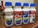 味动力乳酸菌饮品原味330ml*12瓶益生元0脂成人早餐酸奶整箱过年送礼 实拍图