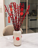 九月生银柳真花30支年宵花干花礼盒新年装饰摆件鲜切室内花卉60cm不含瓶 实拍图