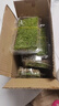 柯必达青苔藓鲜活苔藓微景观植物盆景盆栽水陆缸假山草造景材料白 白发藓(11*8)cm 2盒 实拍图